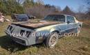 Numbers Matching 79 Trans Am